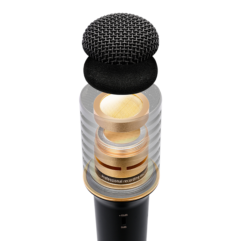 PCM- 5600(GEN 2)Studio recording microphone