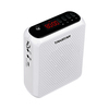 E300W-White Wireless portable amplifier